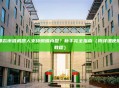 哪款市值机器人支持蝴蝶内盘？新手完全指南（附详细使用教程）