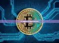 TP钱包密码设置错误怎么办？