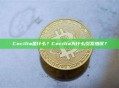 Cecilia是什么？Cecilia为什么引发热议？
