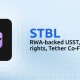 拆解 STBL：稳定币 + NFT 收益权，噱头还是创新？