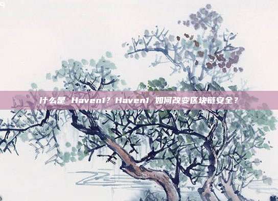 什么是 Haven1?Haven1 如何改变区块链安全?