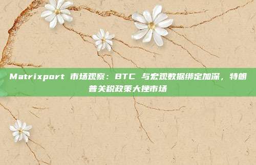 Matrixport 市场观察:BTC 与宏观数据绑定加深,特朗普关税政策大挫市场