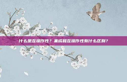什么是互操作性?集成和互操作性有什么区别?