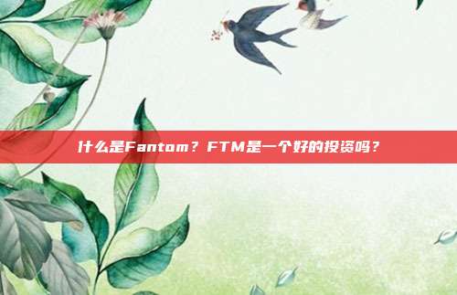 什么是Fantom？FTM是一个好的投资吗？