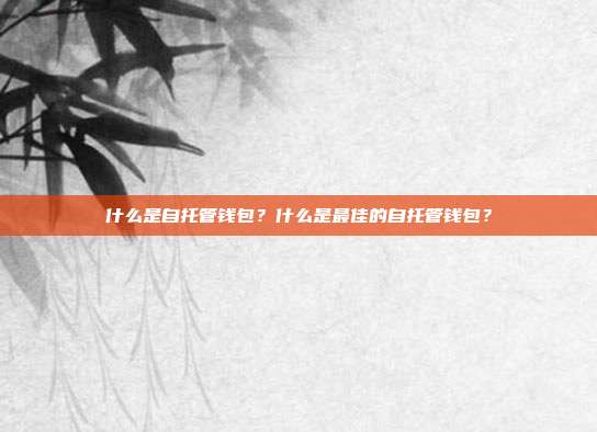 什么是自托管钱包？什么是最佳的自托管钱包？