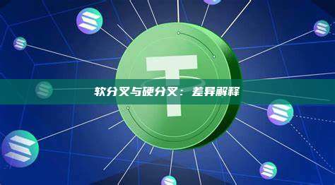 软分叉与硬分叉:差异解释