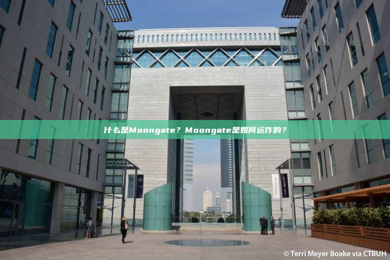 什么是Moongate？Moongate是如何运作的？