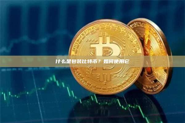 什么是包装比特币？如何使用它