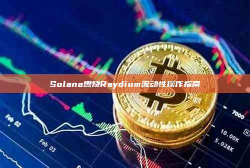 Solana燃烧Raydium流动性操作指南