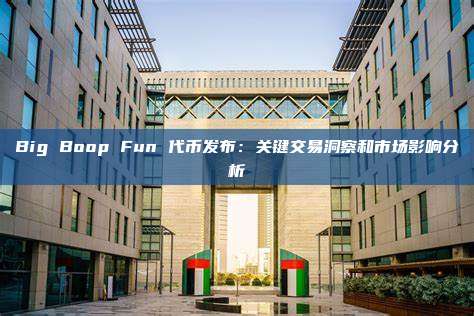 Big Boop Fun 代币发布:关键交易洞察和市场影响分析