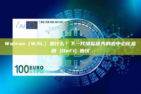 Walrus(WAL)是什么?下一代隐私优先的去中心化金融 (DeFi) 协议