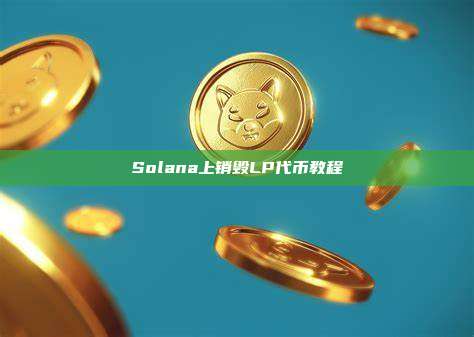 Solana上销毁LP代币教程