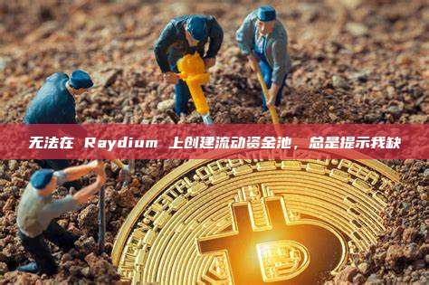 无法在 Raydium 上创建流动资金池，总是提示我缺