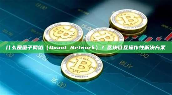 什么是量子网络(Quant Network)?区块链互操作性解决方案