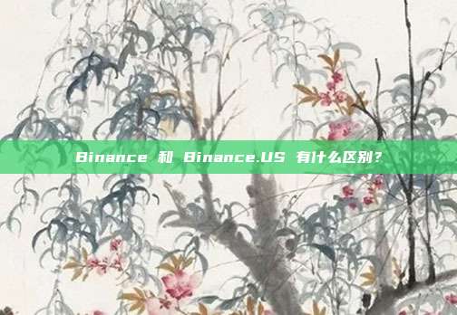 Binance 和 Binance.US 有什么区别?
