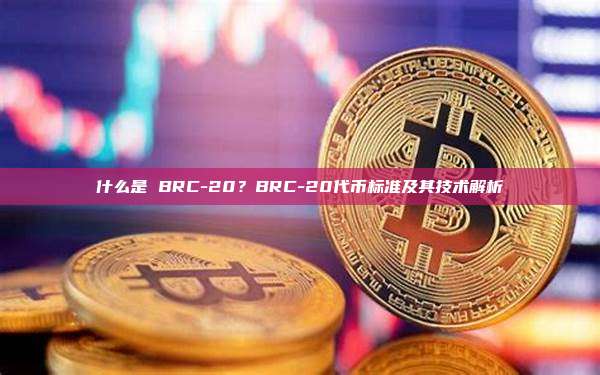 什么是 BRC-20？BRC-20代币标准及其技术解析