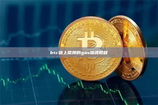 btc链上常用的gas加速教程