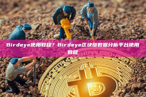 Birdeye使用教程?Birdeye区块链数据分析平台使用教程