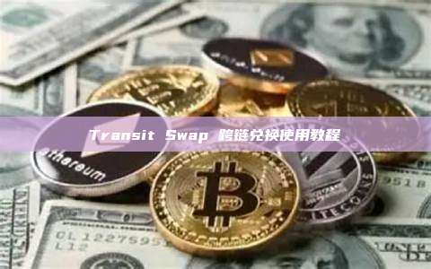 Transit Swap 跨链兑换使用教程