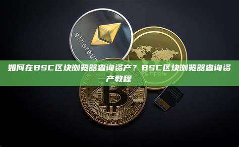 如何在BSC区块浏览器查询资产?BSC区块浏览器查询资产教程
