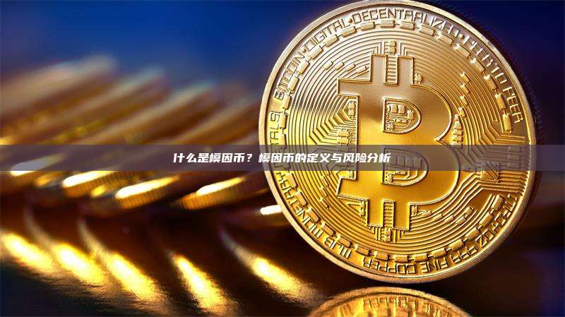 什么是模因币？模因币的定义与风险分析
