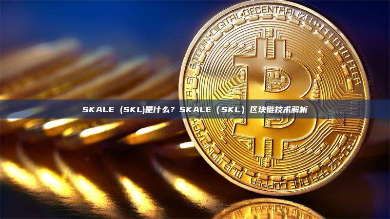 SKALE (SKL)是什么？SKALE（SKL）区块链技术解析