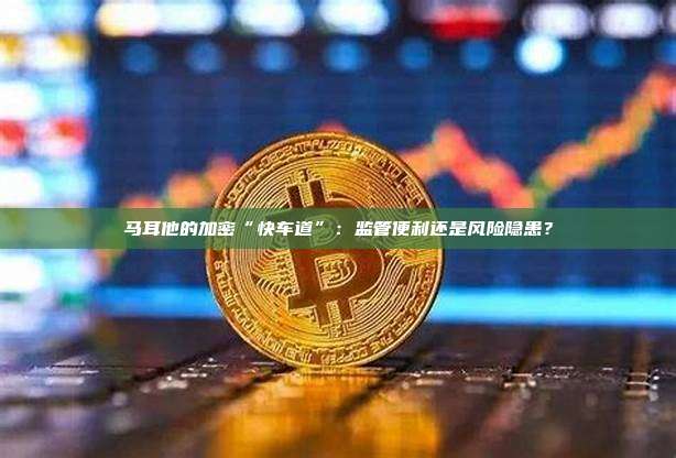 马耳他的加密“快车道”：监管便利还是风险隐患？