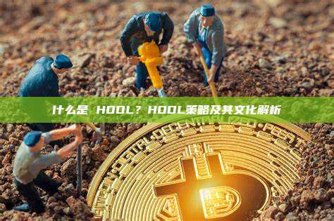 什么是 HODL？HODL策略及其文化解析