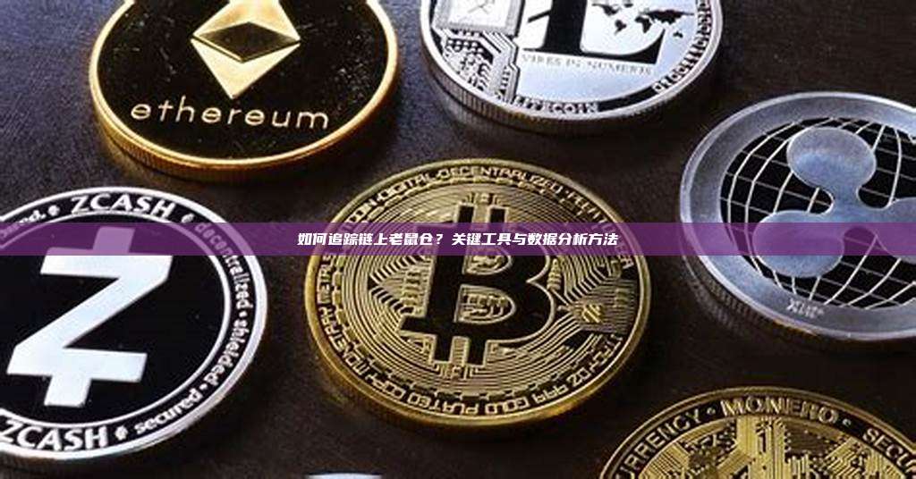 如何追踪链上老鼠仓？关键工具与数据分析方法