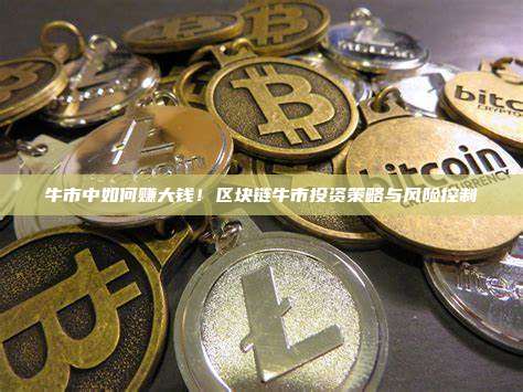 牛市中如何赚大钱！区块链牛市投资策略与风险控制