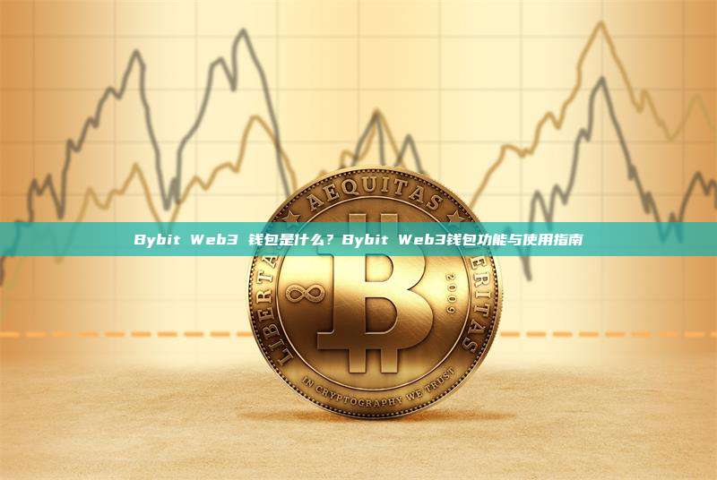 Bybit Web3 钱包是什么？Bybit Web3钱包功能与使用指南