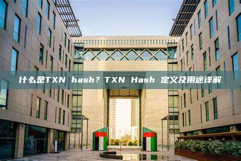 什么是TXN hash?TXN Hash 定义及用途详解