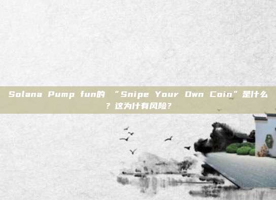 Solana Pump fun的 “Snipe Your Own Coin”是什么?这为什有风险?