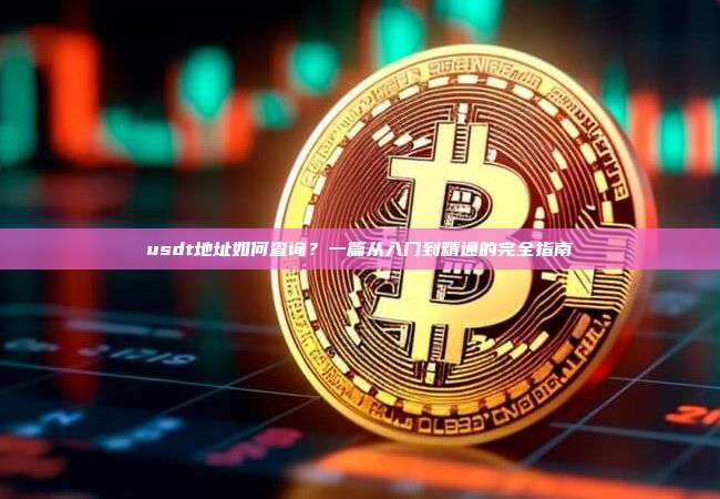 usdt地址如何查询?一篇从入门到精通的完全指南