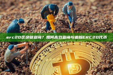erc20区块链查询?如何高效查询与追踪ERC20代币