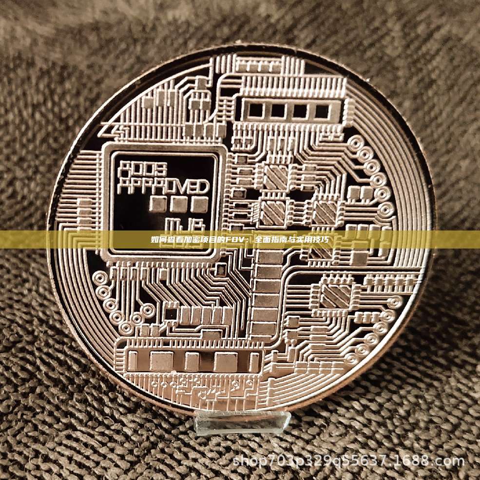 如何查看加密项目的FDV:全面指南与实用技巧