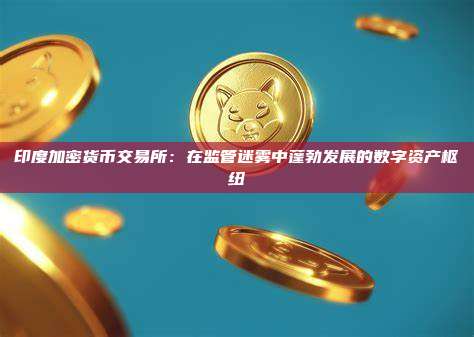 印度加密货币交易所：在监管迷雾中蓬勃发展的数字资产枢纽