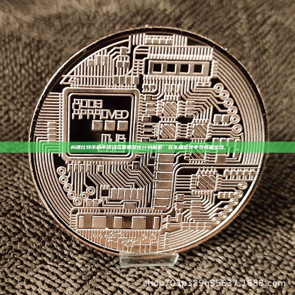 构建比特币的市场动态策略变化计划模型：在不确定性中寻找确定性