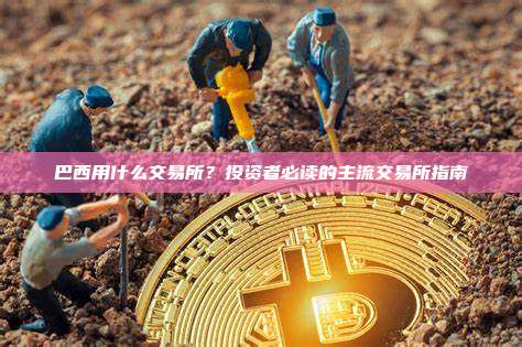 巴西用什么交易所？投资者必读的主流交易所指南