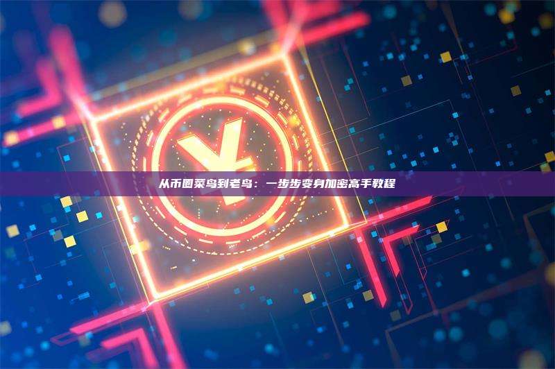 从币圈菜鸟到老鸟：一步步变身加密高手教程