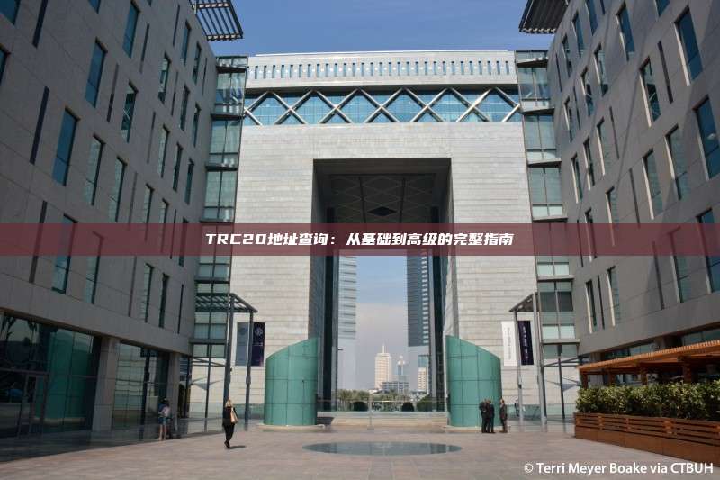 TRC20地址查询：从基础到高级的完整指南