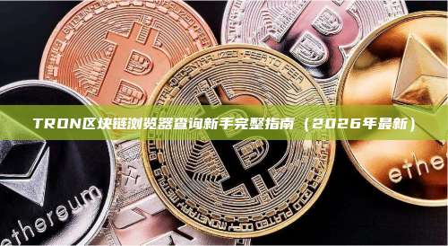TRON区块链浏览器查询新手完整指南（2026年最新）