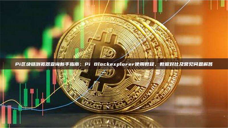 Pi区块链浏览器查询新手指南:Pi Blockexplorer使用教程、数据对比及常见问题解答