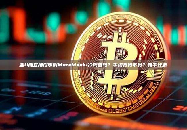 蓝U能直接提币到MetaMask/冷钱包吗？手续费贵不贵？新手详解