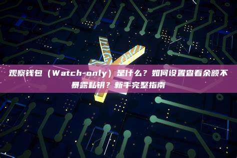观察钱包(Watch-only)是什么?如何设置查看余额不暴露私钥?新手完整指南
