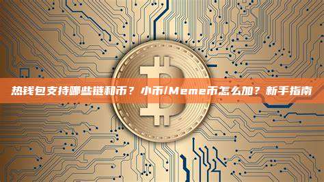 热钱包支持哪些链和币？小币/Meme币怎么加？新手指南
