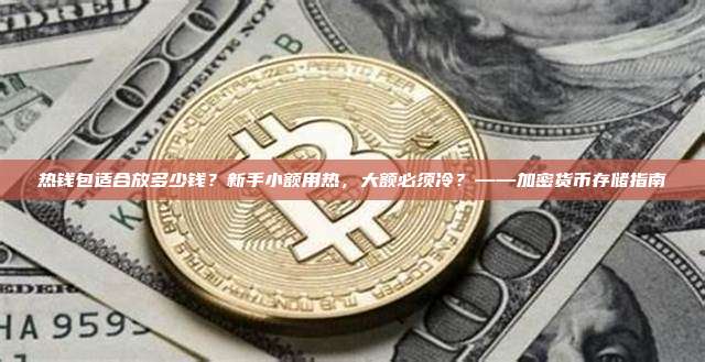热钱包适合放多少钱？新手小额用热，大额必须冷？——加密货币存储指南