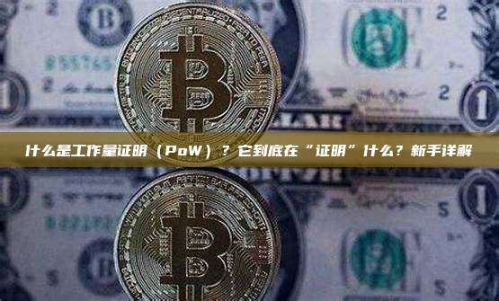 什么是工作量证明（PoW）？它到底在“证明”什么？新手详解