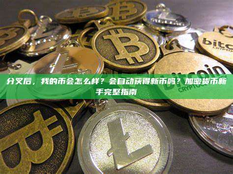 分叉后,我的币会怎么样?会自动获得新币吗?加密货币新手完整指南
