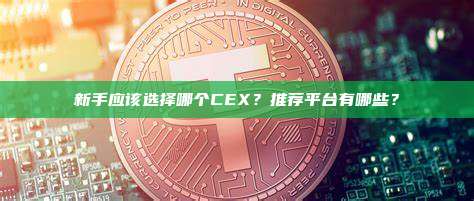 新手应该选择哪个CEX？推荐平台有哪些？